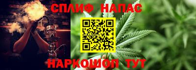ГАЛЛЮЦИНОГЕННЫЕ ГРИБЫ Новозыбков